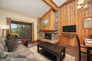 TV, fireplace