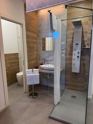 Shower, hair dryer, towels