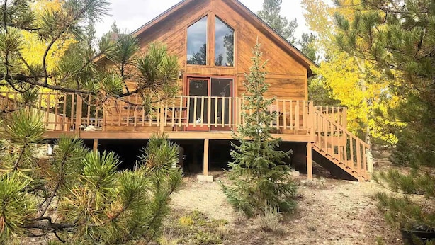 Une cabane en bois dotée d’une terrasse et de grandes fenêtres, entourée d’arbres.