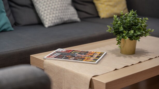 Una revista sobre una mesa, una planta en maceta y un sofá con cojines.