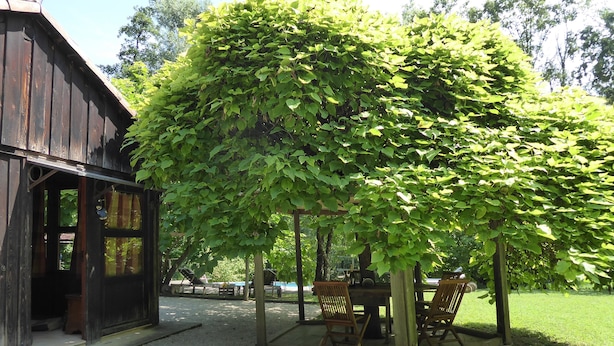 Un bâtiment rustique en bois doté d’un espace extérieur abrité avec des sièges et d’une pergola.