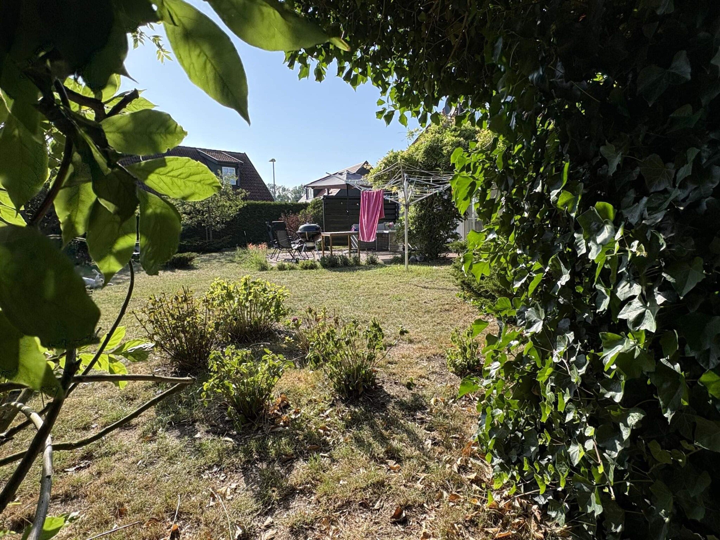 A backyard with a barbecue grill, a wooden shed, and a clothesline.