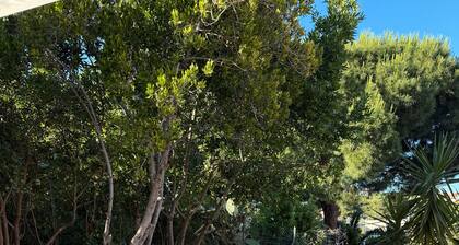 Holiday Home 'Celeste - Isola d'Elba' with Private Garden, Wi-Fi and Air Conditioning