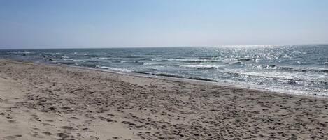 ハウス | ビーチ