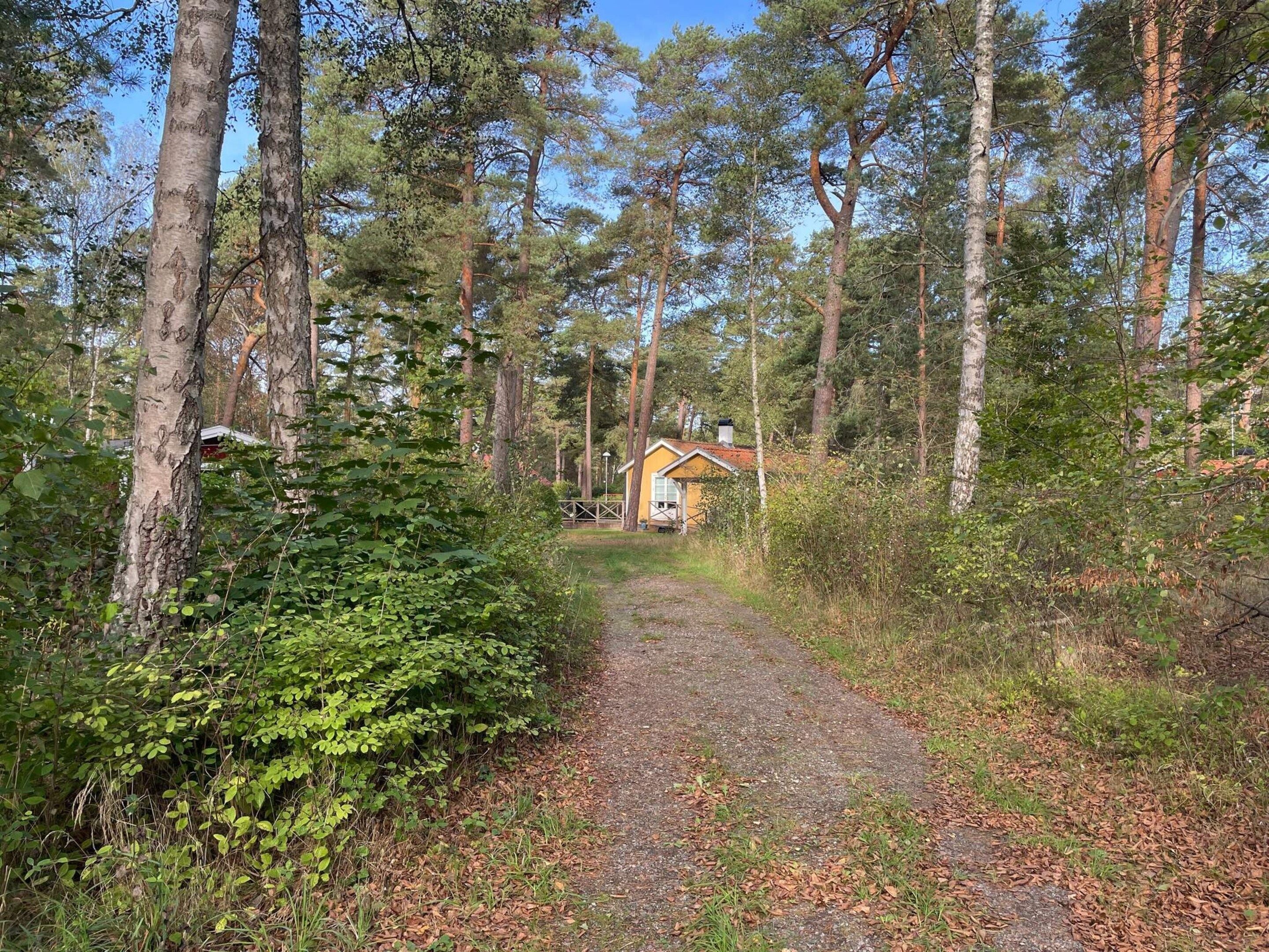A forest path leading to a yellow cabin with a red roof, surrounded by tall trees and dense foliage.