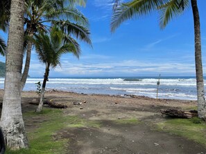 A beach with palm trees and ocean waves. - Jaco Beach House (Jaco)