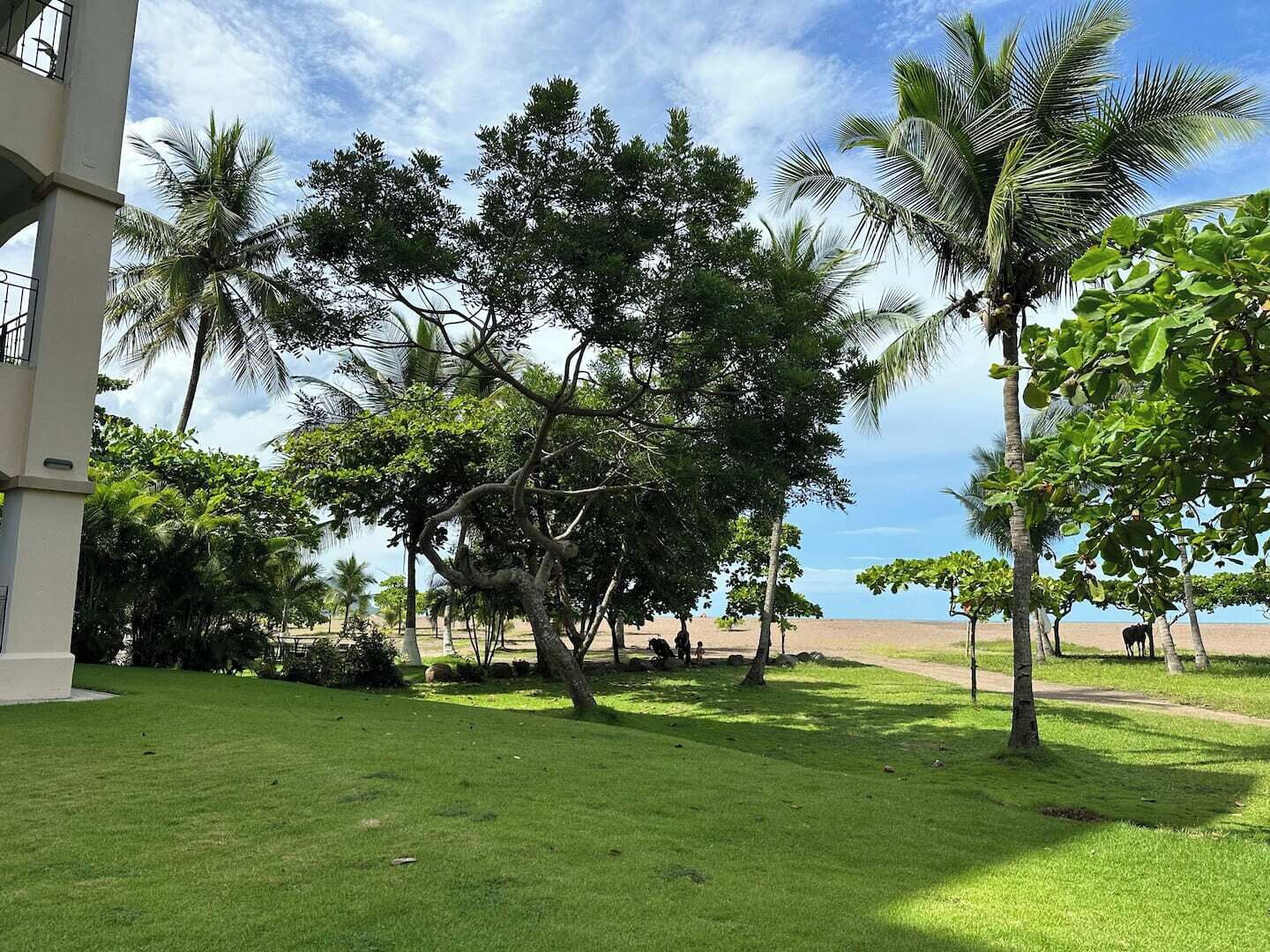 Áreas de la propiedad