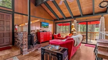 TV, fireplace, DVD player, books