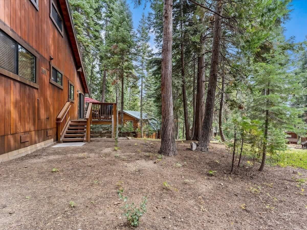 Une cabane en bois avec un escalier menant à une terrasse, entourée de grands arbres.