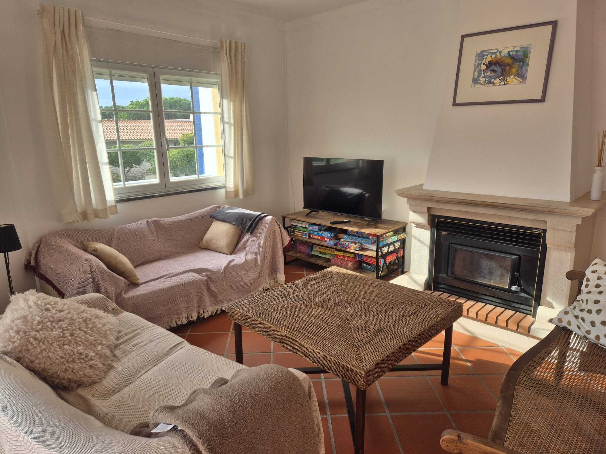 Smart TV, fireplace, books