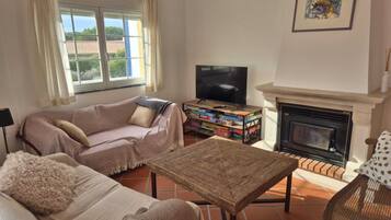 Smart TV, fireplace, books