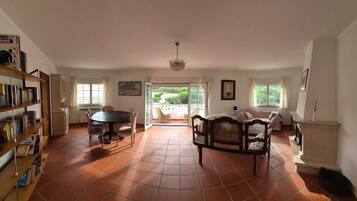 Smart TV, fireplace, books