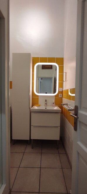 Shower, hair dryer - Cottage 'Romarin' with Mountain View, Wi-Fi and Air Conditioning (Entrechaux)