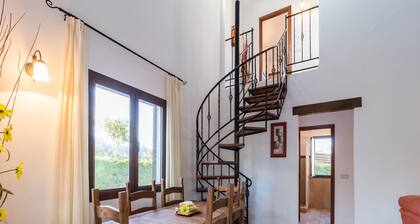 Pet-friendly Getaway in Pozo Alcon