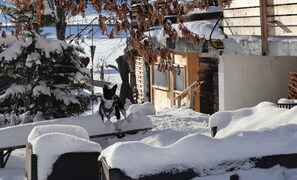 Property grounds - Beim Patzelt - Holiday home Nesselwang | Königscard | Pets welcome (Nesselwang)