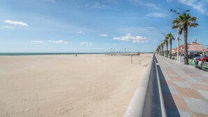 A beach with a paved walkway, palm trees, and a clear sky.