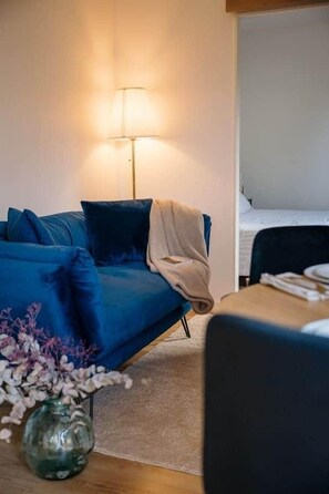 TV - Lodge with pool access (Pancé)