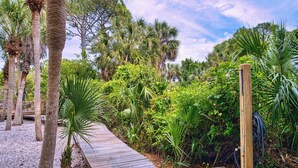 Un sentier en bois traverse un jardin luxuriant où l’on trouve une variété de plantes tropicales et de palmiers.
