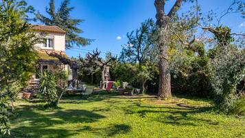 Área da propriedade