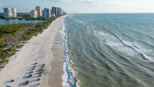 A beach with a row of beach chairs and a city skyline in the background.