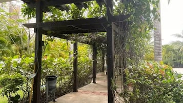 Terrein van de accommodatie