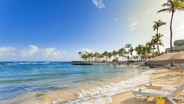 Une plage avec une eau d’un bleu limpide, des palmiers et des chaises longues.
