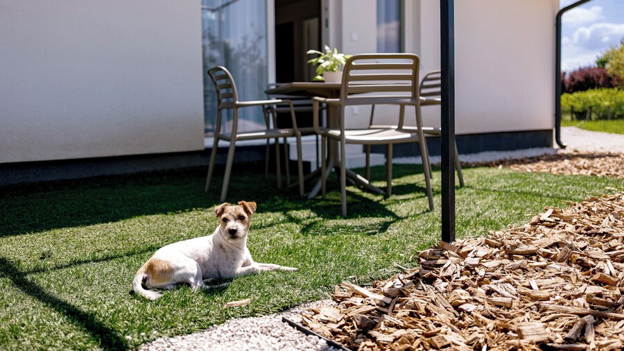 Villa Oliver 2 Lenti