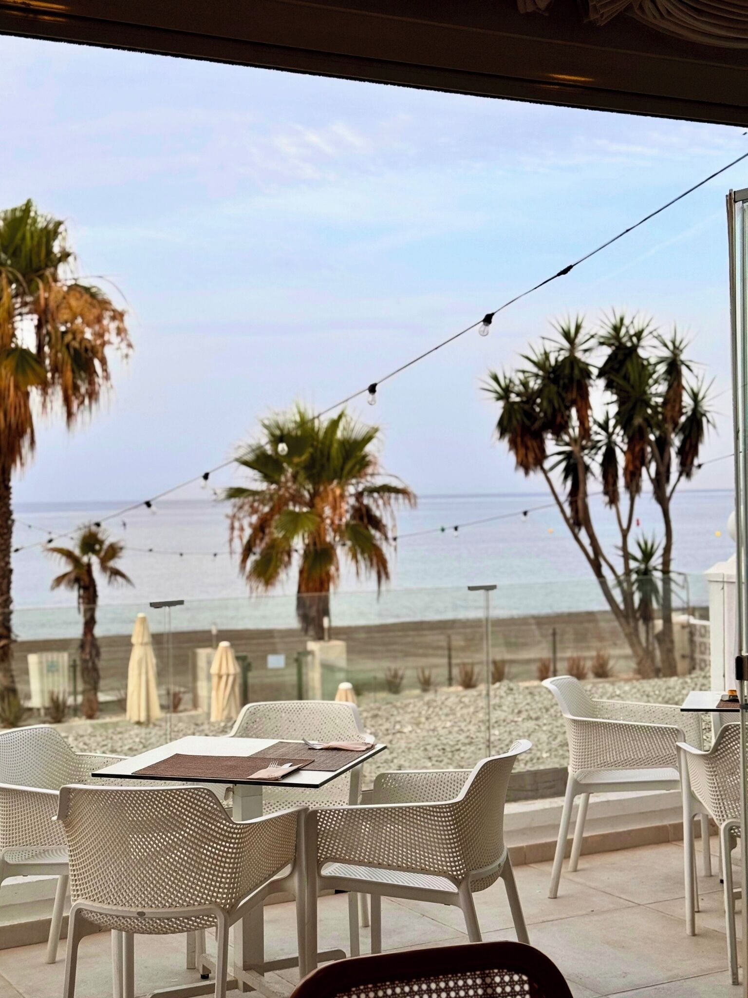 Terras