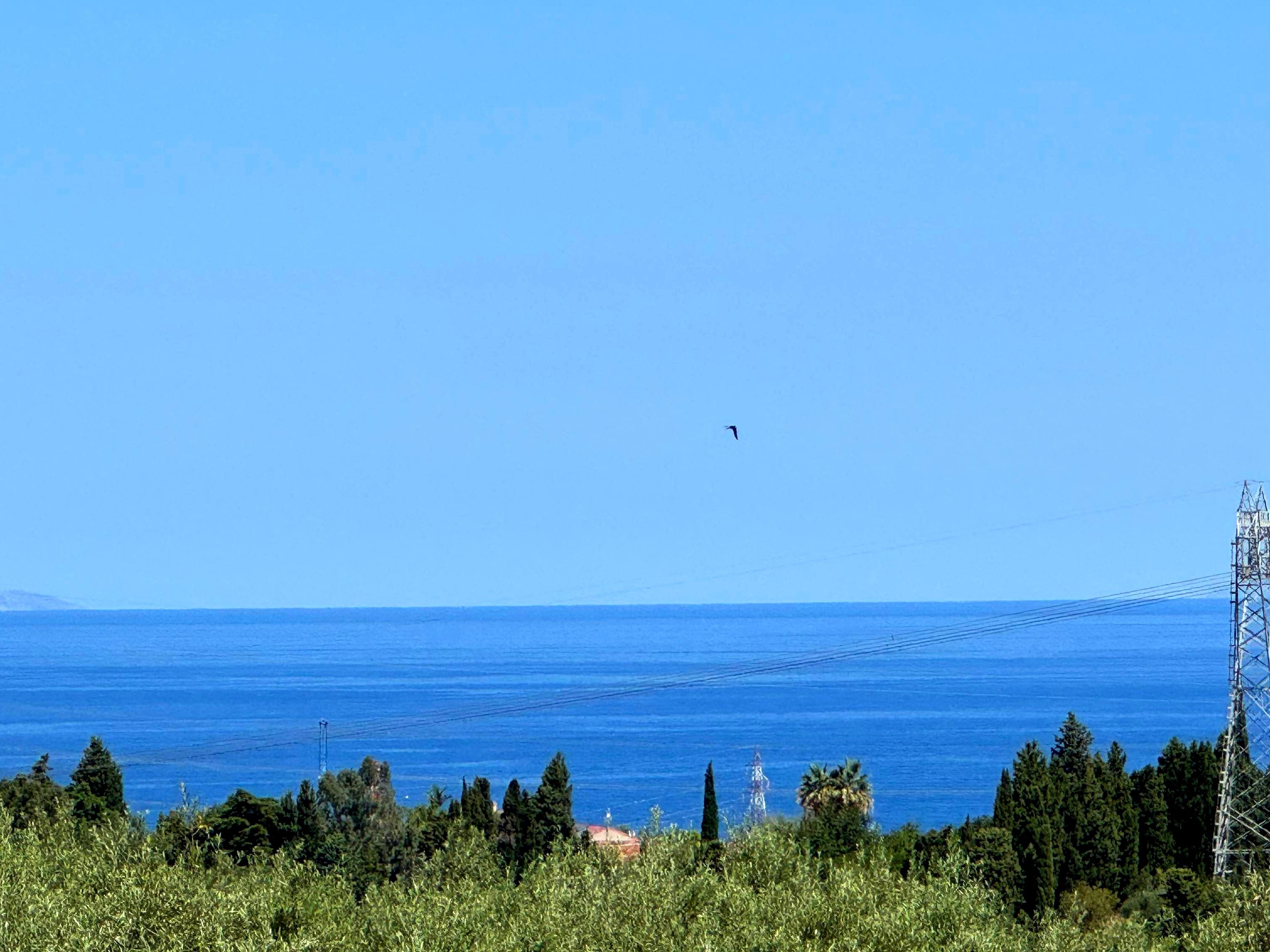 A coastal landscape with a clear sky, a bird flying, and a power line tower.