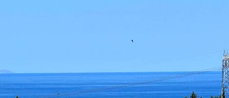 A coastal landscape with a clear sky, a bird flying, and a power line tower.