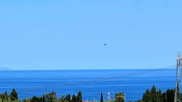 A coastal landscape with a clear sky, a bird flying, and a power line tower.