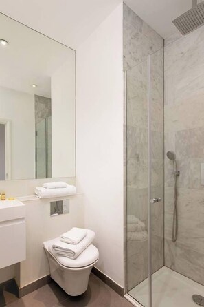 Shower, hair dryer, towels