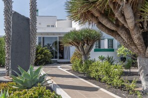 A pathway leading to a building with a modern design, surrounded by various plants and palm trees.