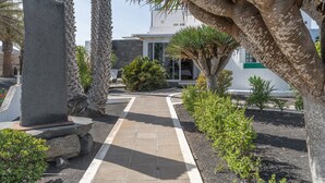 Un camino que lleva a un edificio de diseño moderno, rodeado de palmeras y arbustos.