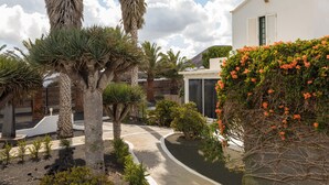 A landscaped garden with palm trees, a pathway, and a white building with shutters. - Holiday Apartment 'Suite Arte y Dragos' with Mountain View, Wi-Fi and Air Conditioning (San Bartolomé)