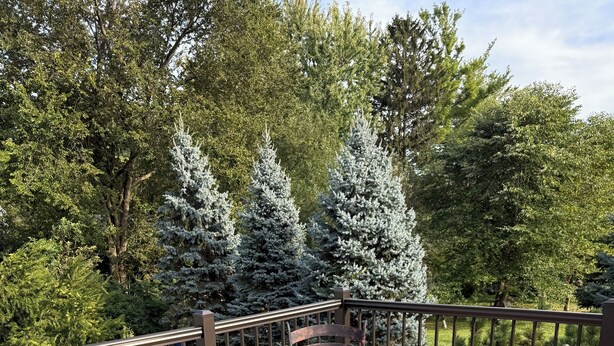 A glass-top table with metal chairs on a wooden deck, surrounded by a metal railing, with trees in the background. - Charming 3-bedroom house next to Six Flags and Military Base in Gurnee (Gurnee)