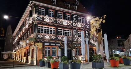 Modern detached house in Nagold - new build