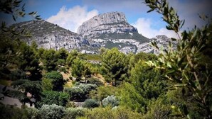 Eine gebirgige Landschaft mit dichtem Grün im Vordergrund und einem markanten Felsen im Hintergrund.