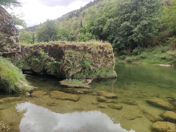 Paisaje natural con una formación rocosa parcialmente sumergida en agua, rodeada de abundante vegetación y colinas.