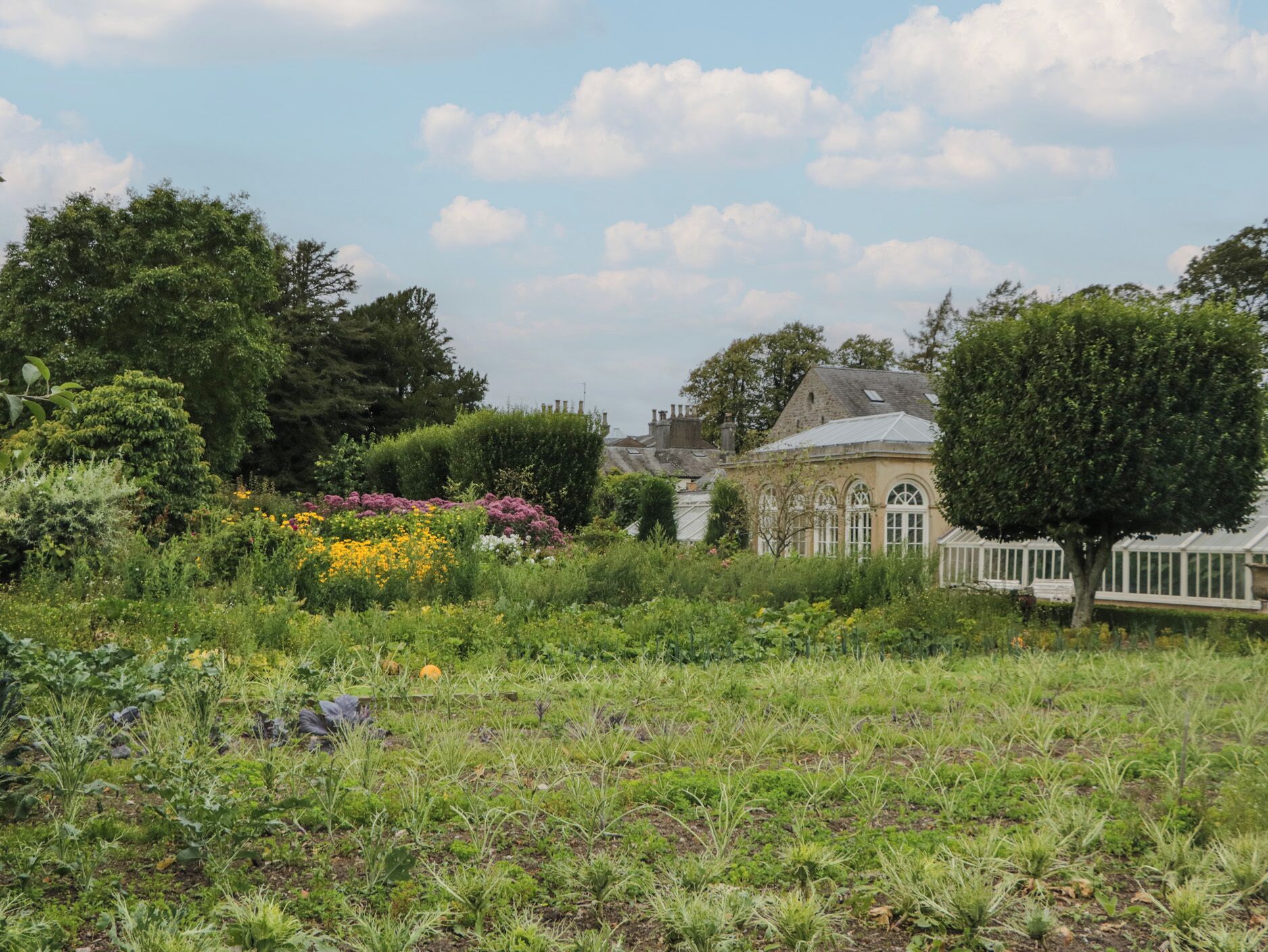A garden with a variety of plants and flowers, a building with a white fence, and a clear sky.