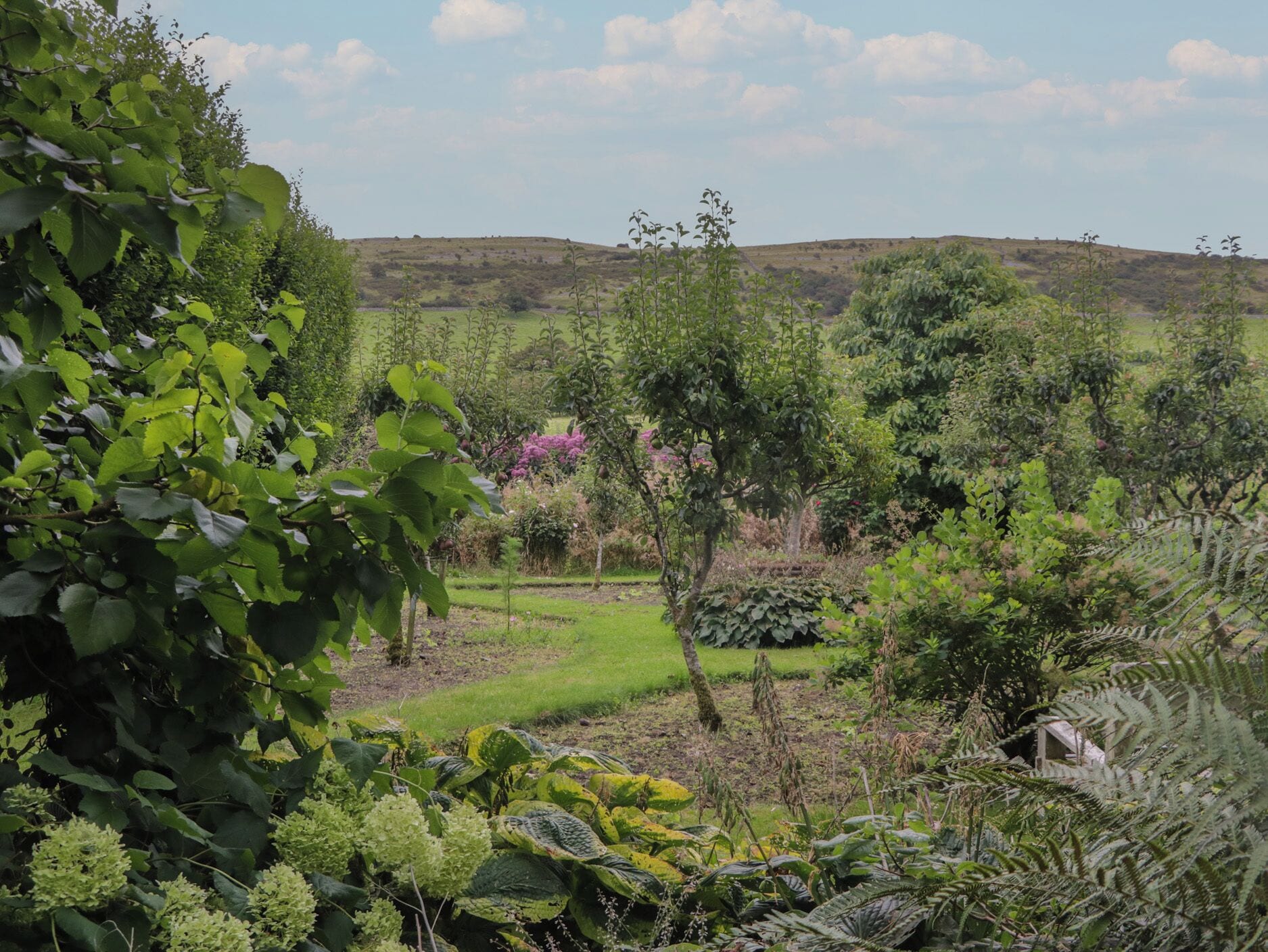 A lush garden with various plants and trees, a grassy area, and a hilly landscape in the background.