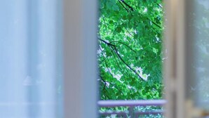 Vista a través de una ventana con barandilla de balcón, mostrando follaje verde.