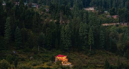 Offbeat Pulga by PACK