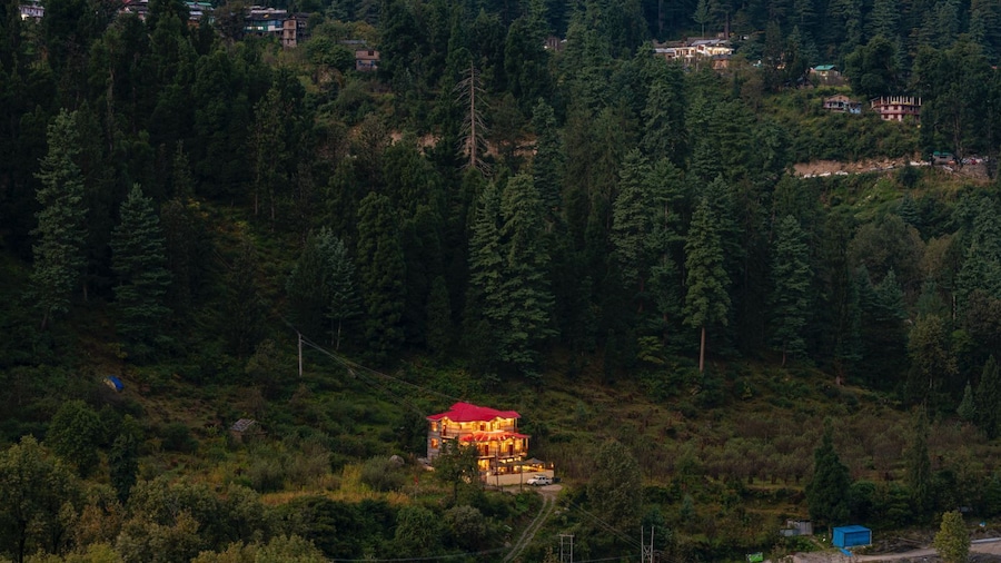 Offbeat Pulga by PACK