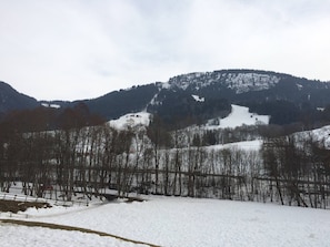 Miscellaneous - 2 MEURET1G - Nice studio with sleeping area (Praz-sur-Arly)