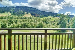 Property grounds - 2 MEURET1G - Nice studio with sleeping area (Praz-sur-Arly)