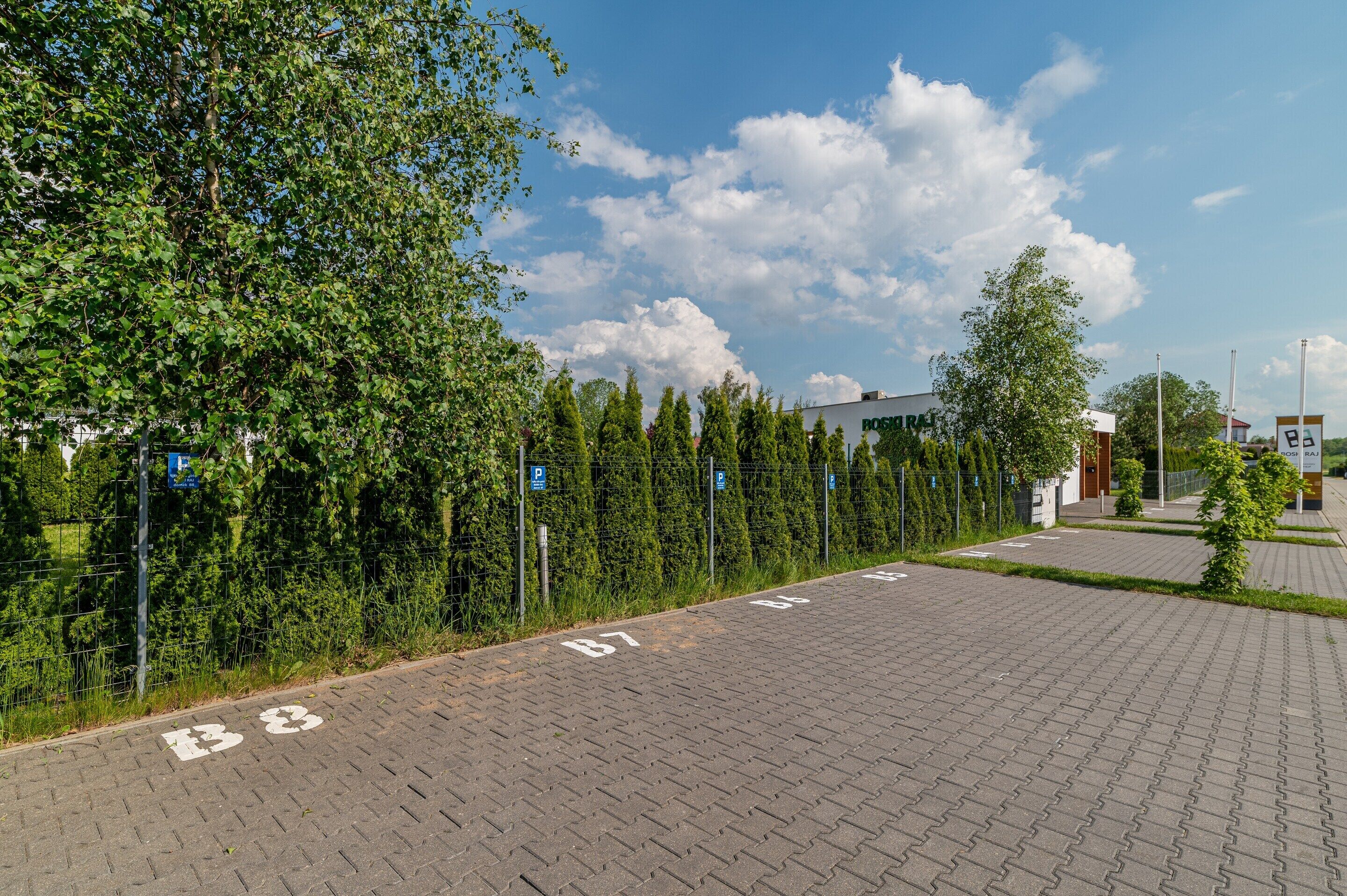 A paved parking area with marked parking spaces and a row of trees.