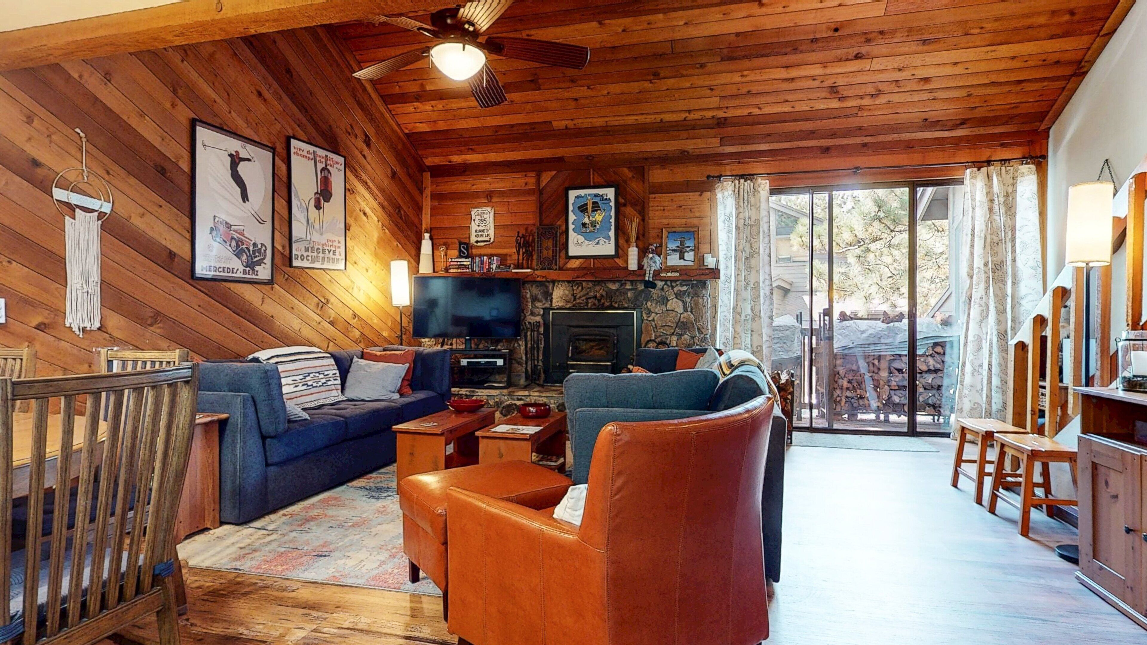 Fernseher, Kamin, Bücher