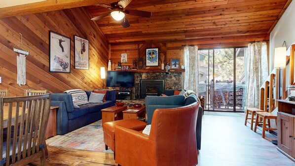 TV, fireplace, books