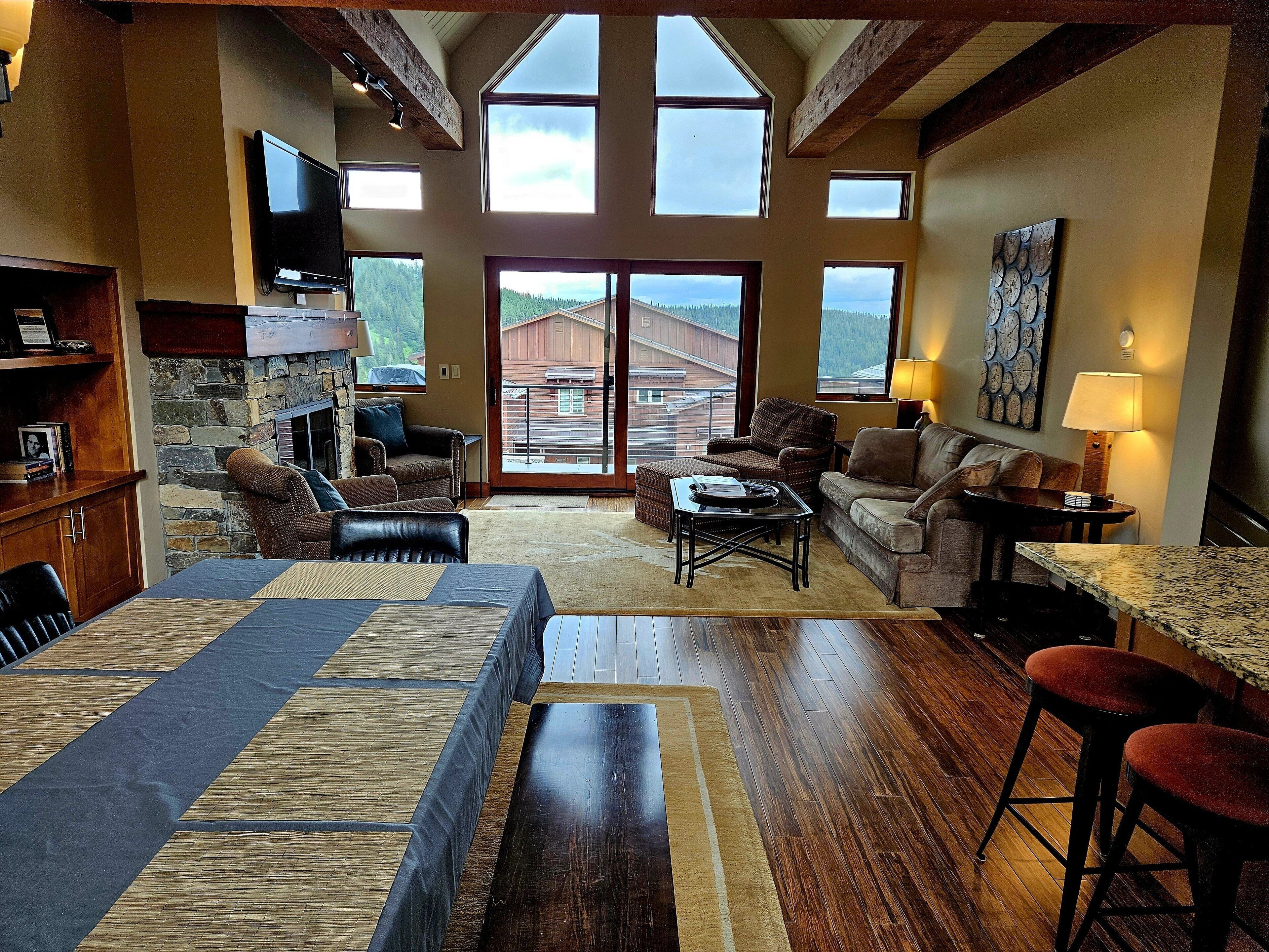 TV, fireplace, books